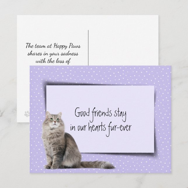 Carte Postale Gray Chat Perte de animal de compagnie de vétérina (Devant / Derrière)