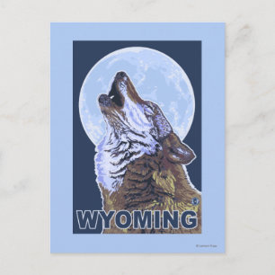 Carte Postale Gray Wolf HowlingWyoming