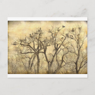 Carte Postale Great Blue Heron Colonies Art
