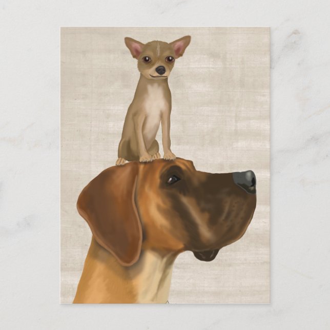 Carte Postale Great Dane et Chihuahua 2 (Devant)
