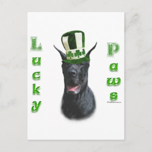 Carte Postale Great Dane Lucky Paws; St. Patty's Day Great Dane