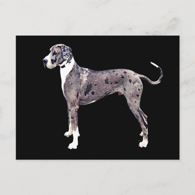 Carte Postale Great Dane Merle 'Heffner' (Devant)