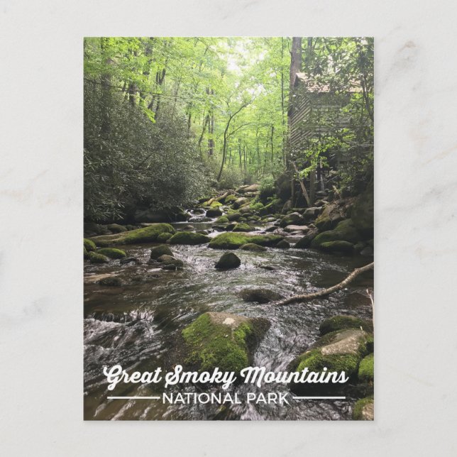 Carte postale Great Smoky Mountain National Park (Devant)