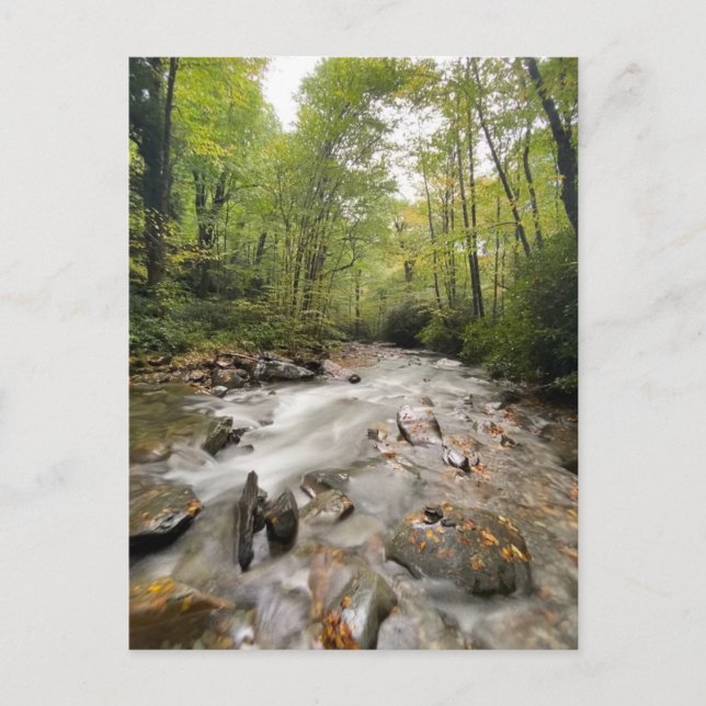 Carte Postale Great Smoky Mountains National Park, Tennessee (Devant)