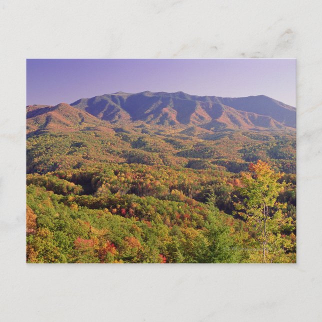 Carte Postale Great Smoky Mountains NP, Tennessee, USA (Devant)