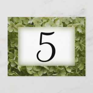 Carte Postale Green Annabelle Hydrangea Flower Nombres