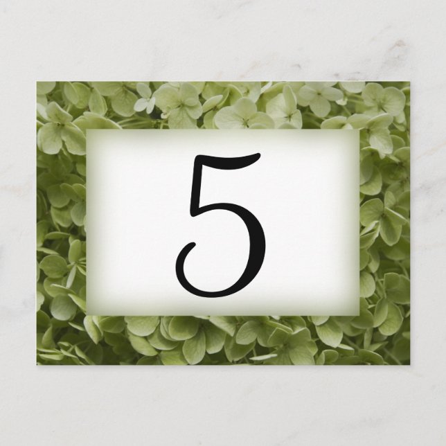 Carte Postale Green Annabelle Hydrangea Flower Nombres (Devant)