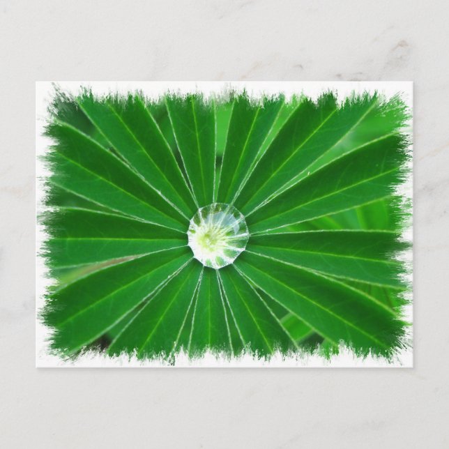 Carte postale Green Energy (Devant)