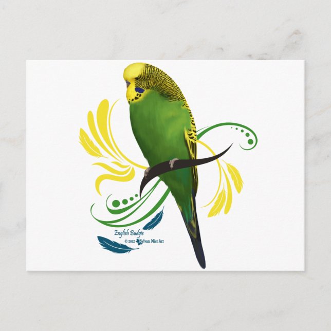 Carte Postale Green English Budgie (Devant)