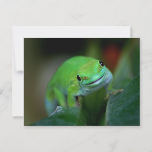 Carte Postale Green Madagascar Day Gecko