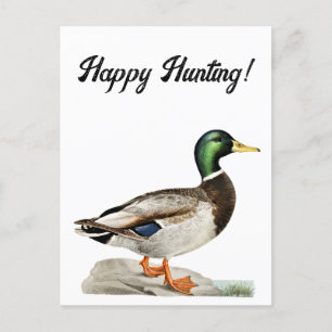 Carte Postale Green Mallard Chasse au canard Art de la nature