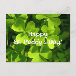 Carte Postale Green Shamrocks, St Paddy's Day Post