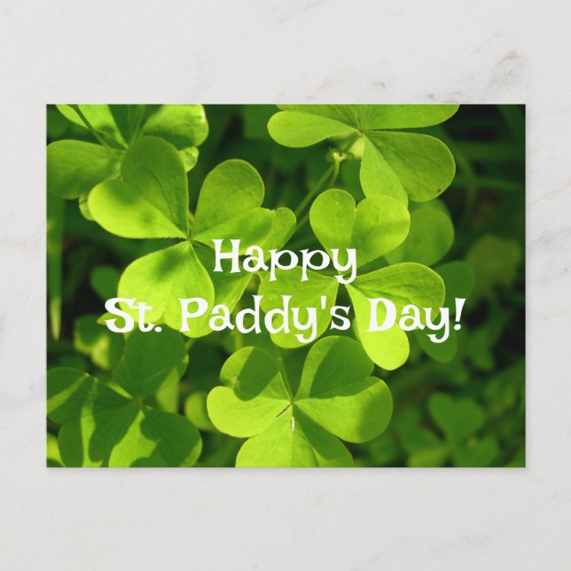 Carte Postale Green Shamrocks, St Paddy's Day Post (Devant)