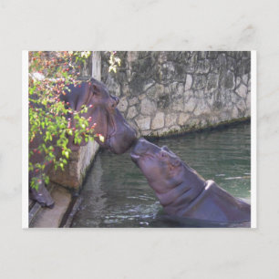 Carte Postale Greeting de Mother et Baby