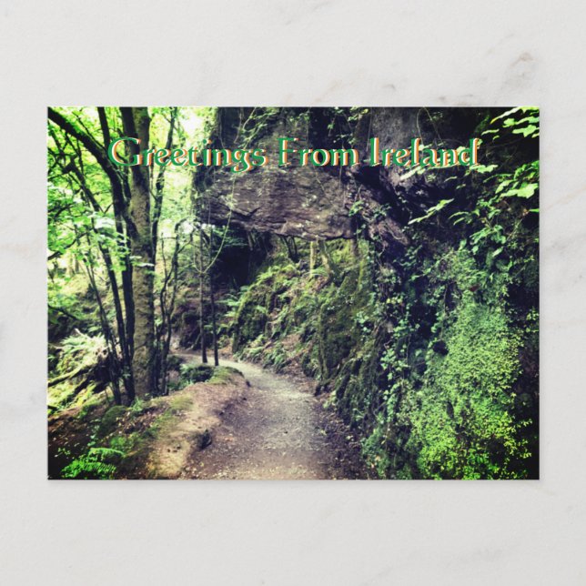 Carte Postale Greetings From Ireland Postcard (Devant)