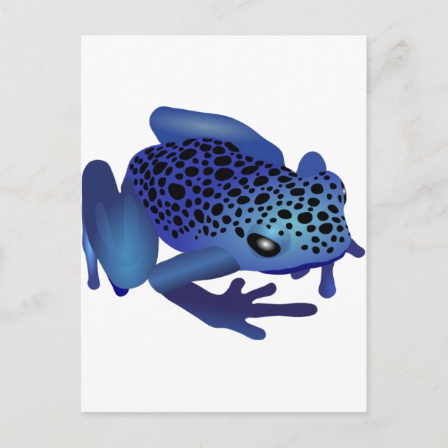Carte Postale Grenouille (Devant)