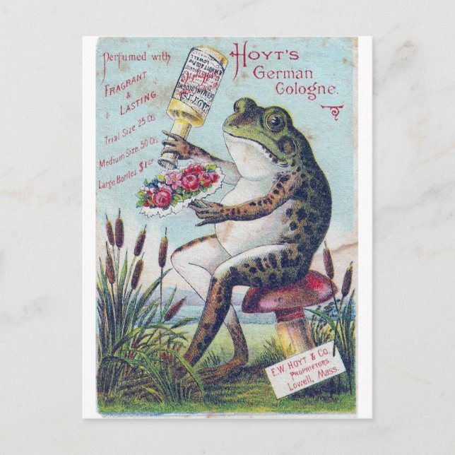Carte Postale Grenouille allemande de Hoyt à Cologne (Devant)