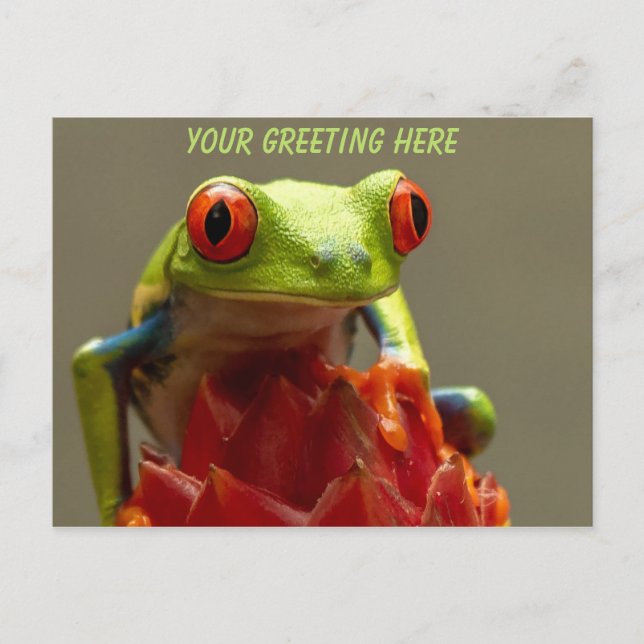 Carte Postale Grenouille arboricole personnalisée (Devant)