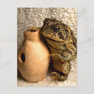 Carte Postale Grenouille crapaud tenant une photo miniature de l