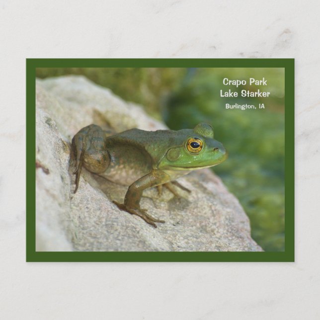 Carte Postale Grenouille de Crapo Park, Burlington, IA (Devant)