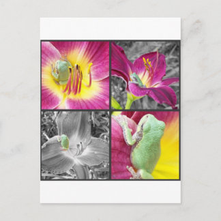 Carte Postale Grenouille en collage de fleurs