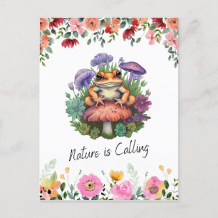 Carte Postale Grenouille et champignons