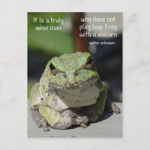 Carte Postale Grenouille et licorne