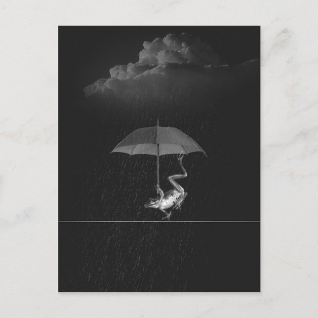 Carte Postale Grenouille noire et blanche avec parapluie en plui (Devant)