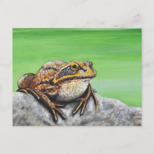Carte Postale Grenouille sur un rocher
