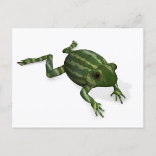 Carte Postale Grenouille verte