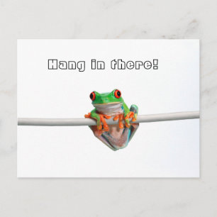 Carte Postale Grenouille verte - Hang...