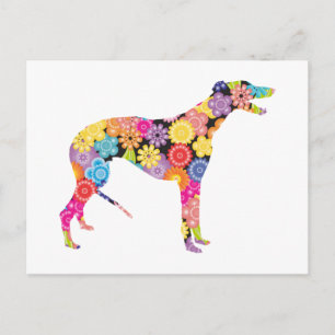 Carte Postale Greyhound