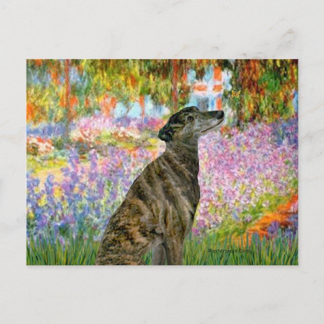 Carte Postale Greyhound (br2) - Jardin (Devant)