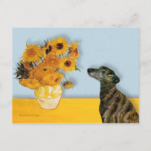Carte Postale Greyhound (br2) - Tournesols
