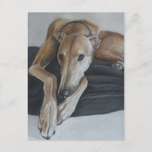 Carte postale Greyhound Dog Art