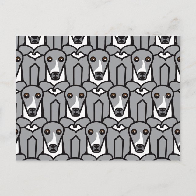 Carte Postale Greyhounds italien (Devant)
