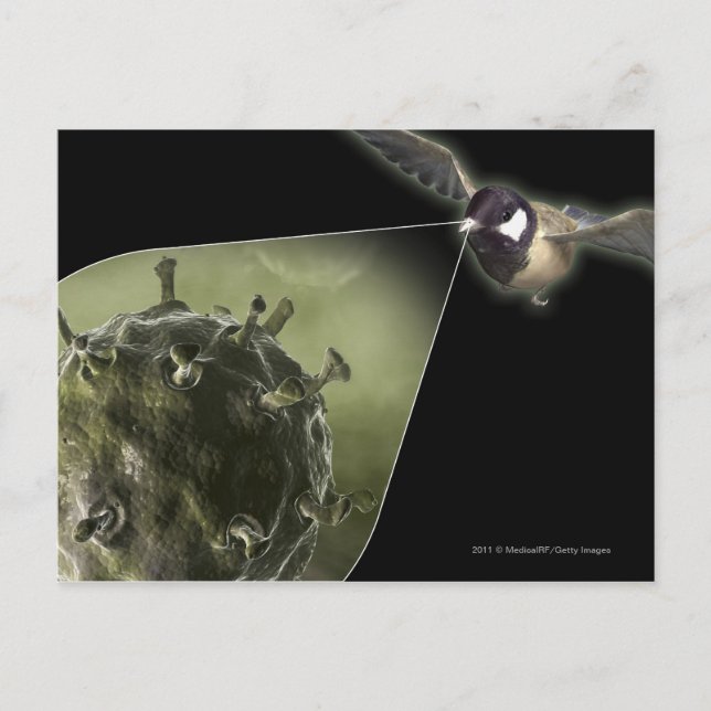 Carte Postale Grippe aviaire qui sort de l'oiseau (Devant)