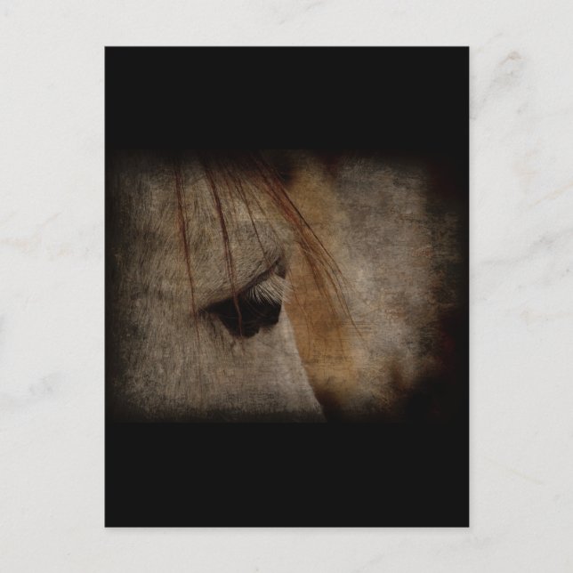 Carte Postale Gris Cheval Face Grunge (Devant)