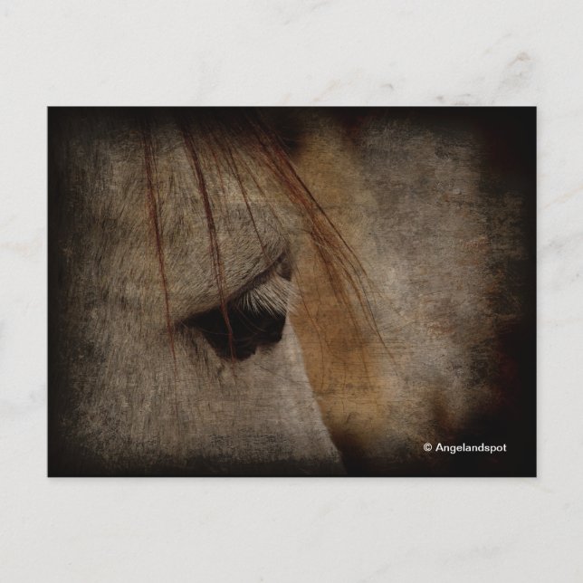 Carte Postale Gris Cheval Grunge (Devant)