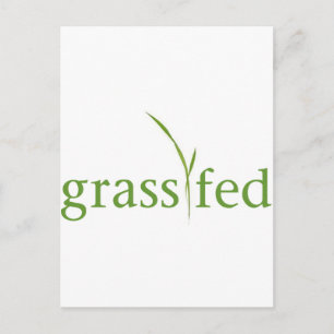 Carte Postale Gris Fed