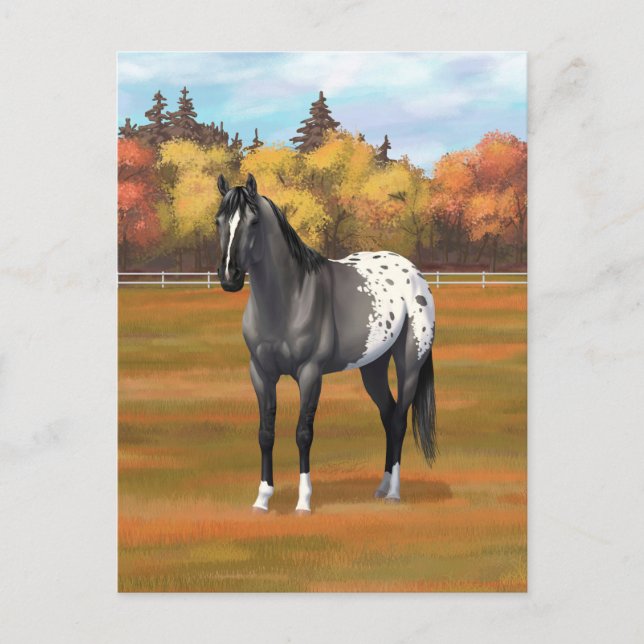 Carte Postale Gris Grulla Appaloosa Grullo Quarter Horse Stallio (Devant)
