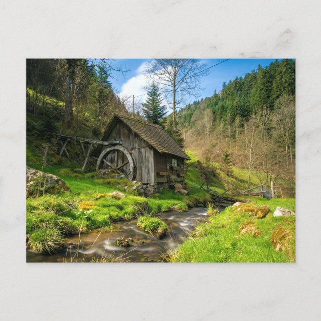 Carte Postale Grist Mill dans la Forêt-Noire (Devant)