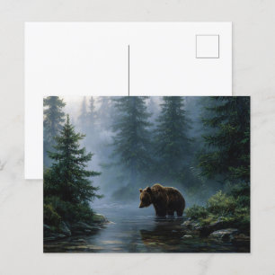 Carte Postale Grizzly Bear Misty Forest