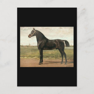 Carte Postale Groningue par Otto Eerelman