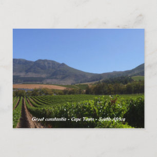 Carte Postale Groot Constantia - Le Cap - Afrique du Sud
