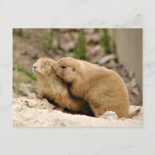 Carte Postale Gros baiser