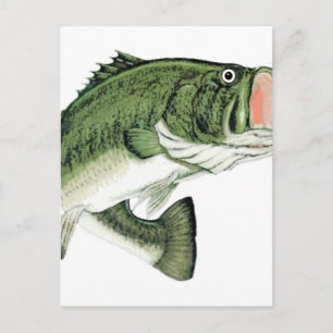 Carte Postale Gros Basse Bouche