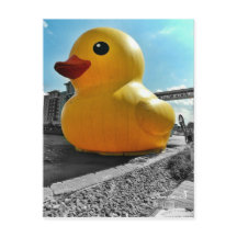 Gros Célèbre Canard En Caoutchouc À Erie PA