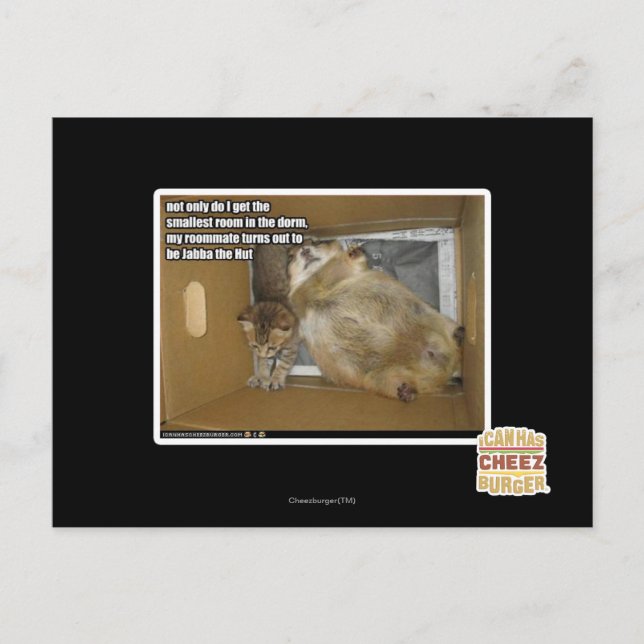 Carte Postale Gros compagnon de chambre (Devant)