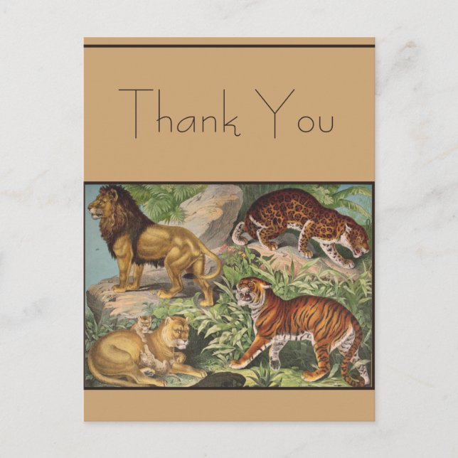 Carte Postale Gros Lions Chat Tigres, léopards, Animaux Imprimer (Devant)